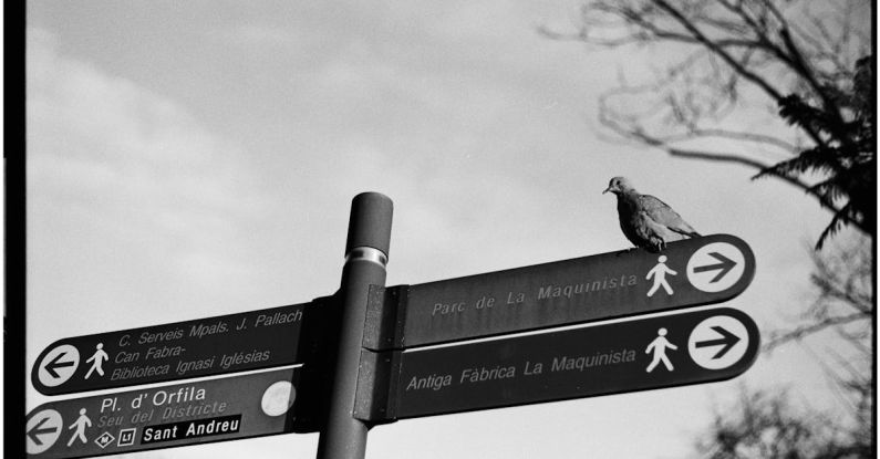 Routes - Hiking Sign Showing Different Routes