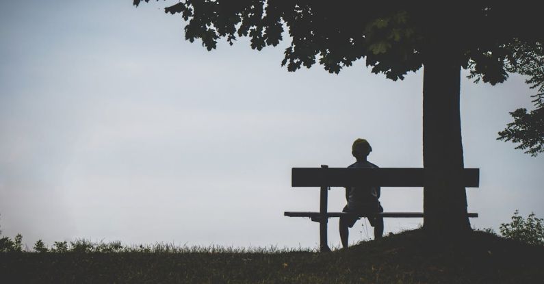 Solo - Person Sitting on Bench Under Tree