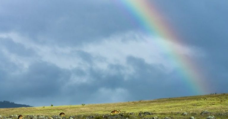 Canberra - Rainbow in the Countryside