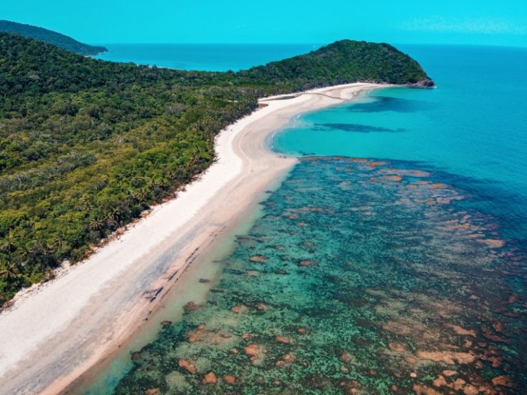 Daintree - green trees beside blue sea during daytime