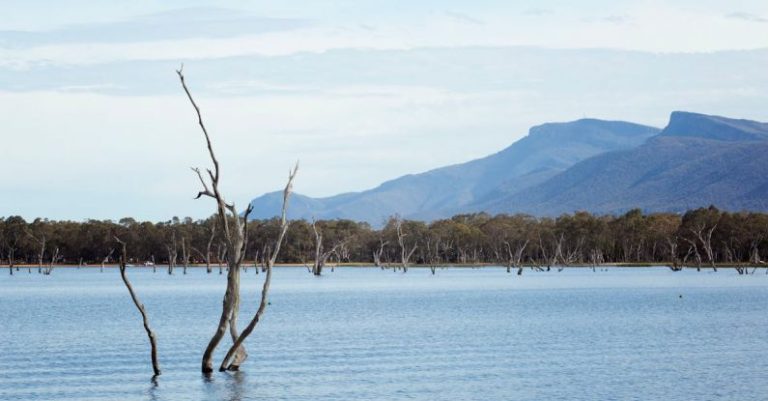 Grampians - Leafless Tree on Body of Water